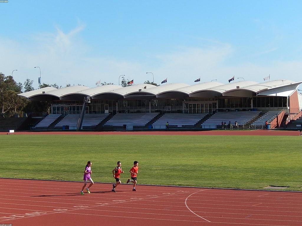 និន្នាការនៃសេវាកម្មកីឡានៅក្នុងកម្រិតសង្គមសម័យថ្មី