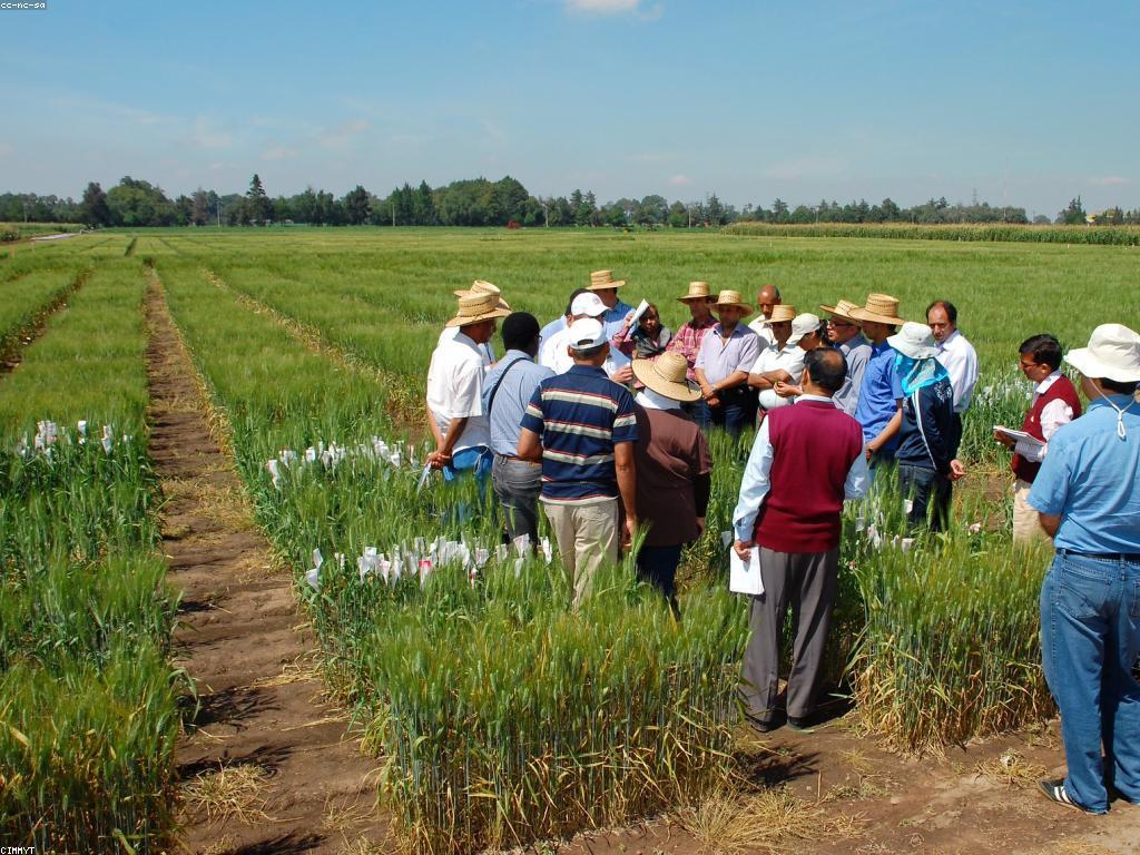 យុទ្ធសាស្ត្រដែលបានសាកល្បងសម្រាប់ការទទួលបានជោគជ័យ