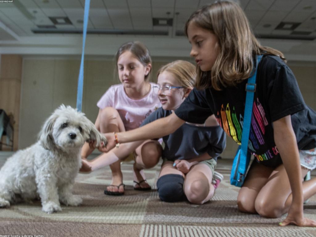 វិធីបង្វិលតិចៗ ដើម្បីបន្ថយស្ត្រេស